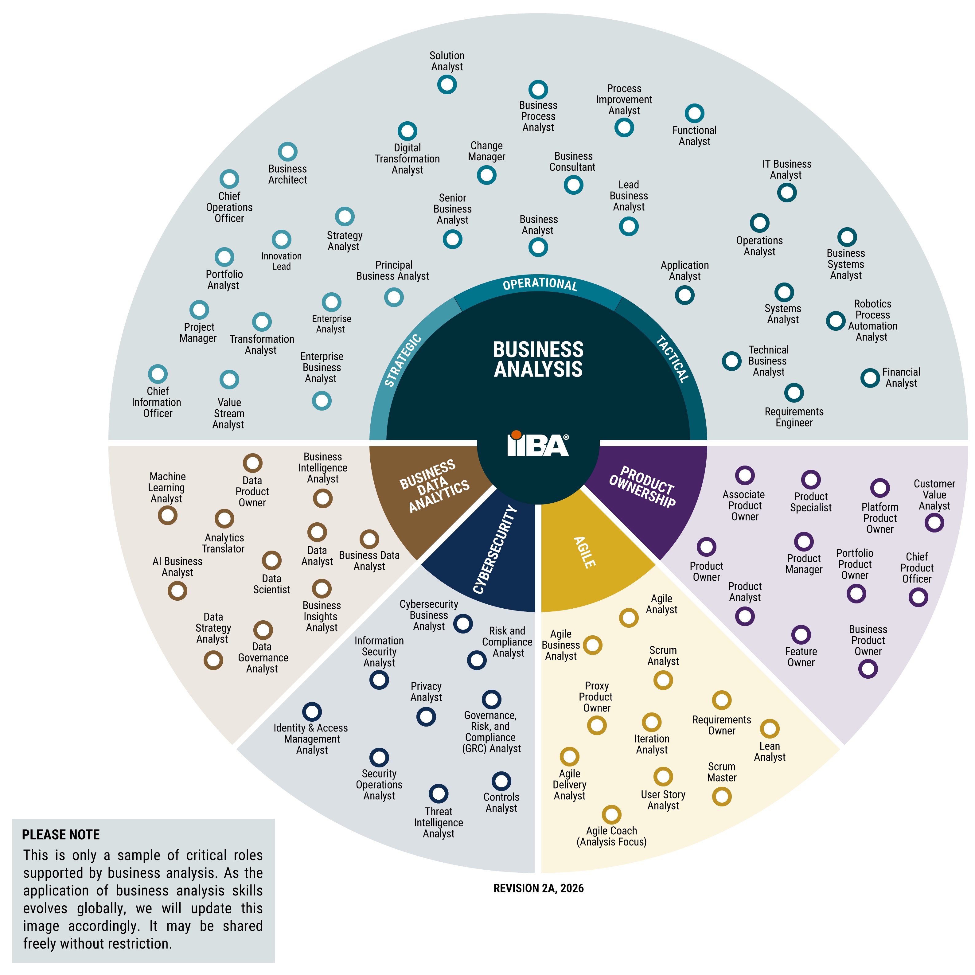 Continuing Evolution of Business Analysis (IIBA)